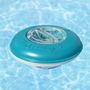Bestway 58762 Distributeur de Chlore pour Piscine et Jardin