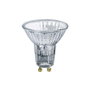 Patron Ampoule halogène dichroïque GU10 50 W 2700 K