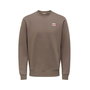 Sweat sans capuche homme Only & Sons Onsdawson Reg Crew Vd Falcon Marron
