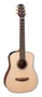 Takamine GP3HSE NS