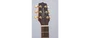 Takamine GP3HSE NS