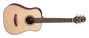 Takamine GP3HSE NS