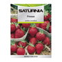 SATURNIA Semillas Huerto Fresas