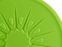 Leknes Accumulateur de froid Kiwi 17.5x1.5x17.5 cm Plastique Vert 250 ml (Set de 24)