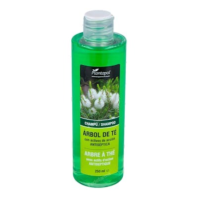 PLANTAPOL Shampoing à l'Huile d'Arbre à Thé 250 ml - Antiseptique, Cheveux Gras et Secs PLANTAPOL Shampoing à l'Huile d'Arbre à Thé 250 ml - Antiseptique, Cheveux Gras et Secs