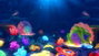 Bizak Fizzy Pets - Animal aquatique, bouteille magique qui révèle une adorable mascotte en ajoutant de l'eau, avec sons et lumières, pour enfants dès 5 ans