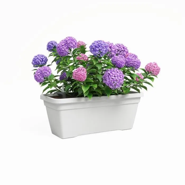Artevasi Jardinière Venizia L SWS 60 cm - Blanc - Plastique - 18L - Dimensions 57.5 x 24.5 x 22.5 cm Artevasi Jardinière Venizia L SWS 60 cm - Blanc - Plastique - 18L - Dimensions 57.5 x 24.5 x 22.5 cm