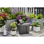 Gardena AquaBloom Set Solar-powered Irrigation