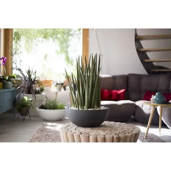 Eda Bac Graphit Up - Pot de fleurs pour intérieur et extérieur, 40 x 16,5 cm (14,9 L) - Gris Anthracite