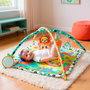 Playgro Gym Musical Jardin Joyeux avec Sonnette, Fleur à Mordiller, Lion Musical, Miroir et Rubans Tactiles - Multilingue