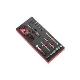 Facom RL.161 - Module d'outils plateau mousse carré d'entraînement 1/4" avec cliquet, douilles, embouts (ECR, Torx, Phillips, HEX)