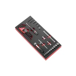 Facom RL.161 - Module d'outils plateau mousse carré d'entraînement 1/4" avec cliquet, douilles, embouts (ECR, Torx, Phillips, HEX)