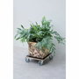 Nature Tablette à roulettes pour plantes - Chariot carré en bois noir - 38x38 cm