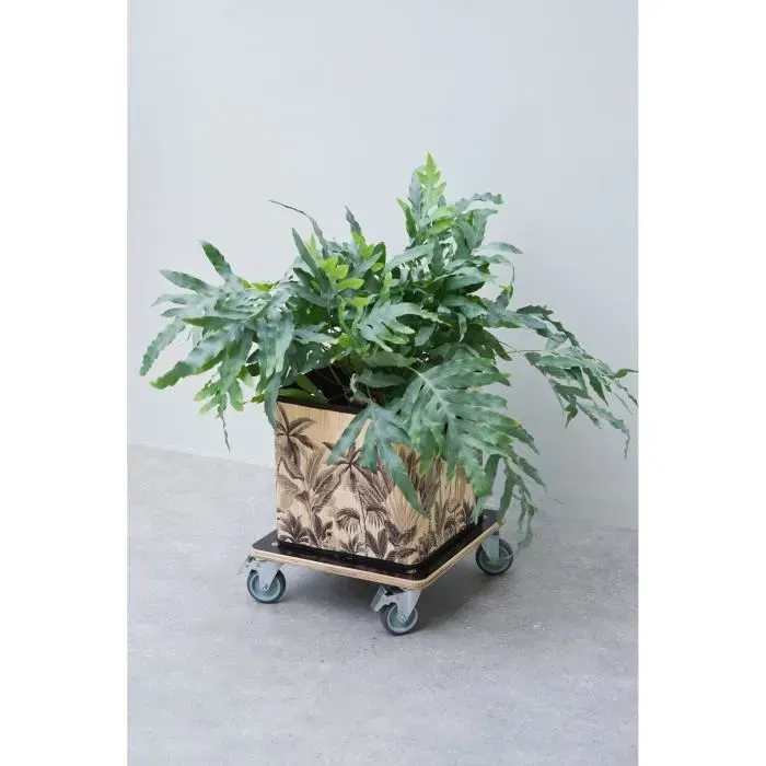 Nature - Chariot pour plantes à roulettes carré en bois noir - 38x38 cm - Capacité de charge 250 kg - Robustes - Intérieur et extérieur Nature - Chariot pour plantes à roulettes carré en bois noir - 38x38 cm - Capacité de charge 250 kg - Robustes - Intérieur et extérieur