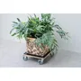 Nature - Chariot pour plantes à roulettes carré en bois noir - 38x38 cm - Capacité de charge 250 kg - Robustes - Intérieur et extérieur