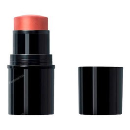 DR. HAUSCHKA Stick Lèvres-Joues 01 Apricot