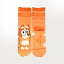 Chaussettes Bluey Multicouleur 164