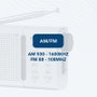 Radio transistor Daewoo DW1037