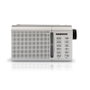 Radio transistor Daewoo DW1037