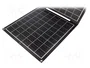 LOGILINK Photopile 30W en silicone monocristallin