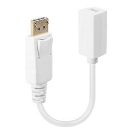 Lindy Adaptateur DisplayPort vers Mini DisplayPort femelle Blanc