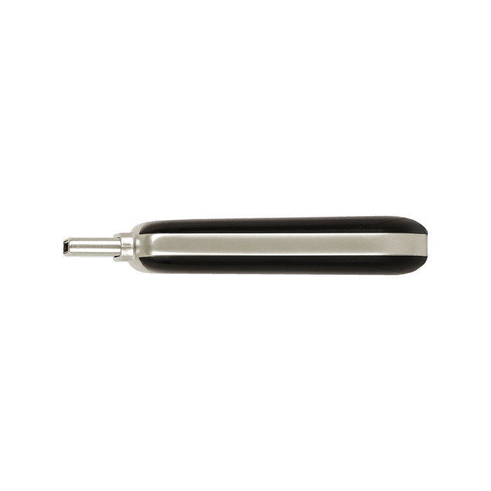 Verbatim Plectra Black 256 Go USB-C