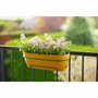 Elho Balconnière Vibia Campana Allin1 Jaune Miel