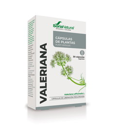 Valeriana
