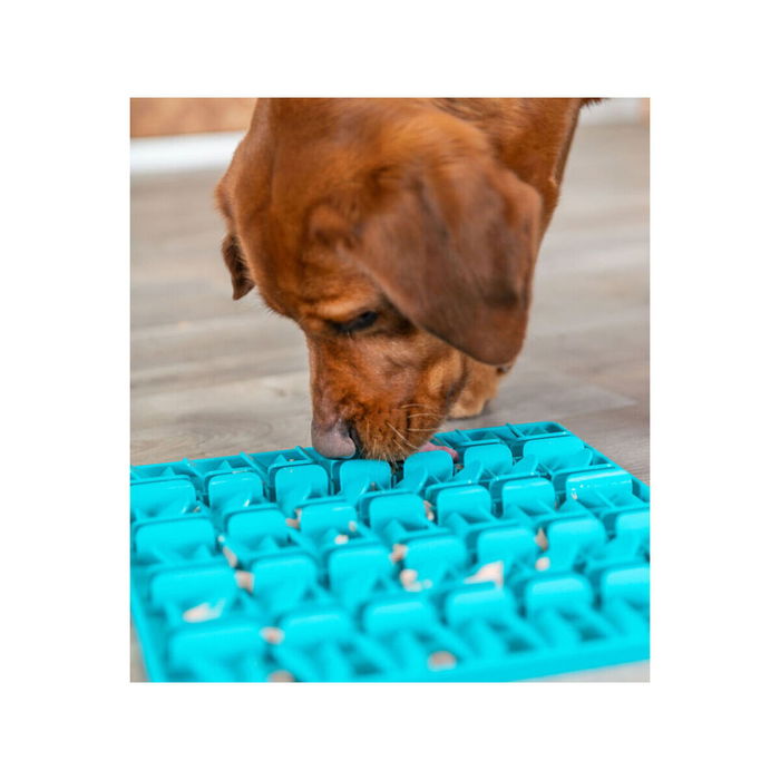 Tapis de Jeux et Récompenses pour Animaux de Compagnie Trixie Lick'n'Snack Turquoise Tapis de Jeux et Récompenses pour Animaux de Compagnie Trixie Lick'n'Snack Turquoise