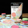 Panpastel Set de 25 Couleurs Claires et Demi-teintes