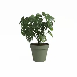 Artevasi Pot de fleurs CAPRI, 40 cm, vert cendré, plastique, dimensions L40 x P40 x H34.7 cm
