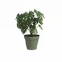 Artevasi Pot de fleurs CAPRI, 40 cm, vert cendré, plastique, dimensions L40 x P40 x H34.7 cm