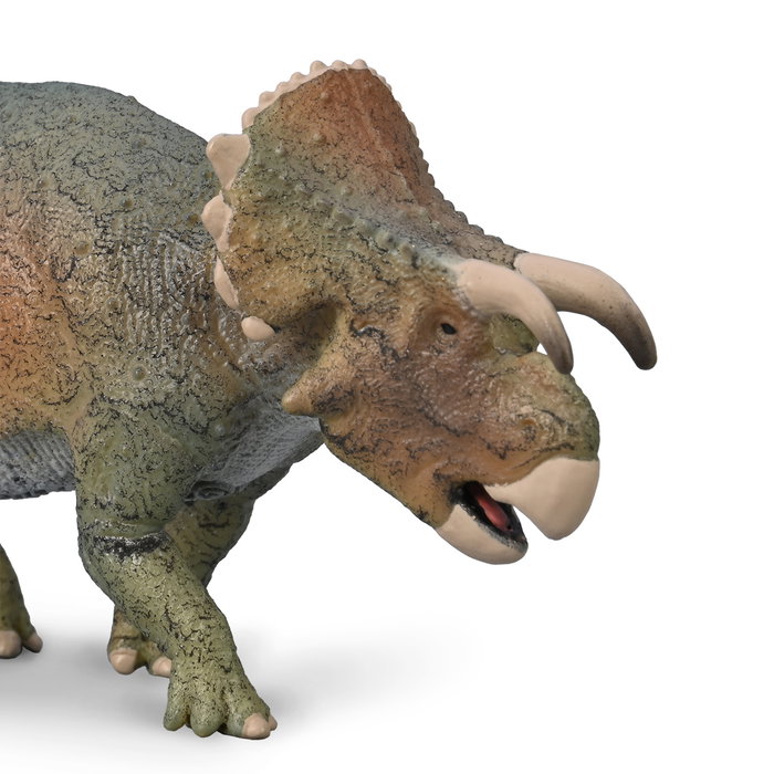 Collecta Figurine Furcatoceratops -M- 80025 - Réplique Détailée et Peinte à la Main pour Collection