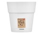 Stefanplast Maceta Ethica Blanc Plastique 20 cm avec Réserve d'Eau (Set de 12)