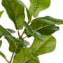 Day Plante artificielle figuier H.40 cm