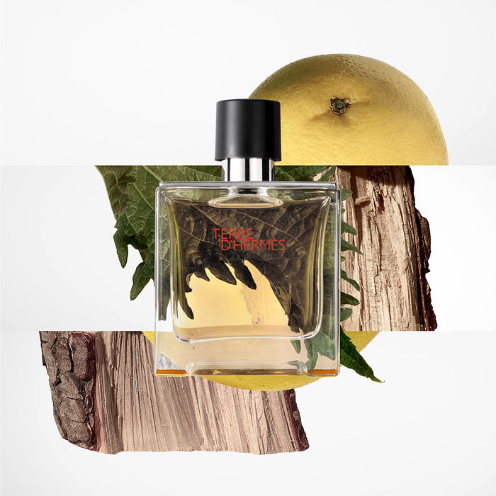 Hermès Terre d'Hermès Parfum Vaporisateur Homme 75 ml Hermès Terre d'Hermès Parfum Vaporisateur Homme 75 ml