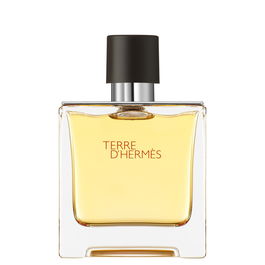 Hermès Terre d'Hermès Eau de Parfum pour Homme - Flacon 75 ml