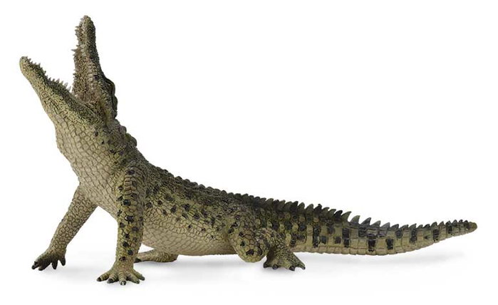 Collecta Figurine Animaux Sauvages Crocodile du Nil avec Mandibule Mobile XL Réplique Détaillée 88725, Figurine pour Enfants +3 ans - Version Française Collecta Figurine Animaux Sauvages Crocodile du Nil avec Mandibule Mobile XL Réplique Détaillée 88725, Figurine pour Enfants +3 ans - Version Française