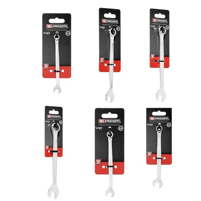 Facom BP.P20ACM1PB - Boîte à outils professionnelle de 22 pièces avec 5 tournevis, 6 clés mixtes, 9 clés mâles, 1 pince multiprise et 1 scie à métaux