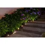 Galix Guirlande Solaire de Jardin à Planter 10 LED Blanches 5 m 0.5W 100 Lumens Autonomie 8h avec Interrupteur