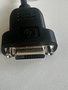 HP Adaptateur DisplayPort vers DVI-D Single Link - Convertisseur de connecteur pour écran et carte graphique - 19 cm