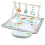 Disney Baby - Tapis d'éveil évolutif Winnie l'Ourson Once Upon a Tummy Time - Arche en bois pliable avec jouets sensoriels, miroir sécurisé, étiquettes sensorielles et peluche