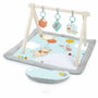 Disney Baby Tapis d'éveil évolutif Winnie l'Ourson avec arche en bois