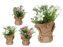 IBERGARDEN Planta Saco Flores Mediana Surt 3 Colores