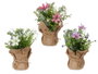 IBERGARDEN Planta Saco Flores Mediana Surt 3 Colores