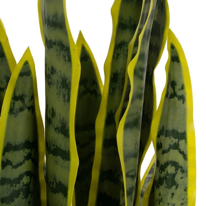 BigBuy Home Plante décorative Caoutchouc polypropylène 20 x 20 x 80 cm BigBuy Home Plante décorative Caoutchouc polypropylène 20 x 20 x 80 cm