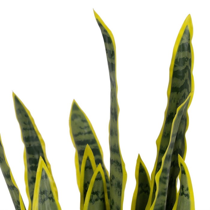 BigBuy Home Plante décorative Caoutchouc polypropylène 20 x 20 x 80 cm BigBuy Home Plante décorative Caoutchouc polypropylène 20 x 20 x 80 cm