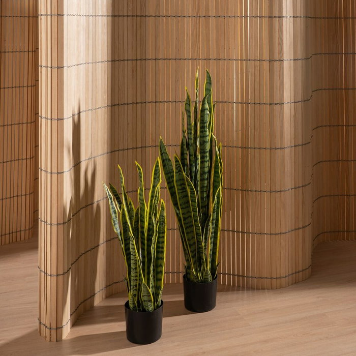 BigBuy Home Plante décorative Caoutchouc polypropylène 20 x 20 x 80 cm BigBuy Home Plante décorative Caoutchouc polypropylène 20 x 20 x 80 cm