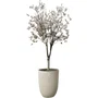 ELHO - Sereh Haut 40 - Pot de fleur haut 50 L - Ø 39 x H 53 cm - Beige - Pour balcon, intérieur et extérieur - En plastique 100% recyclé