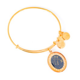 Alex And Ani Bracelet Gémeaux Doré